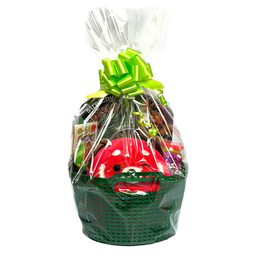 Boy Basket - Strechy Dino