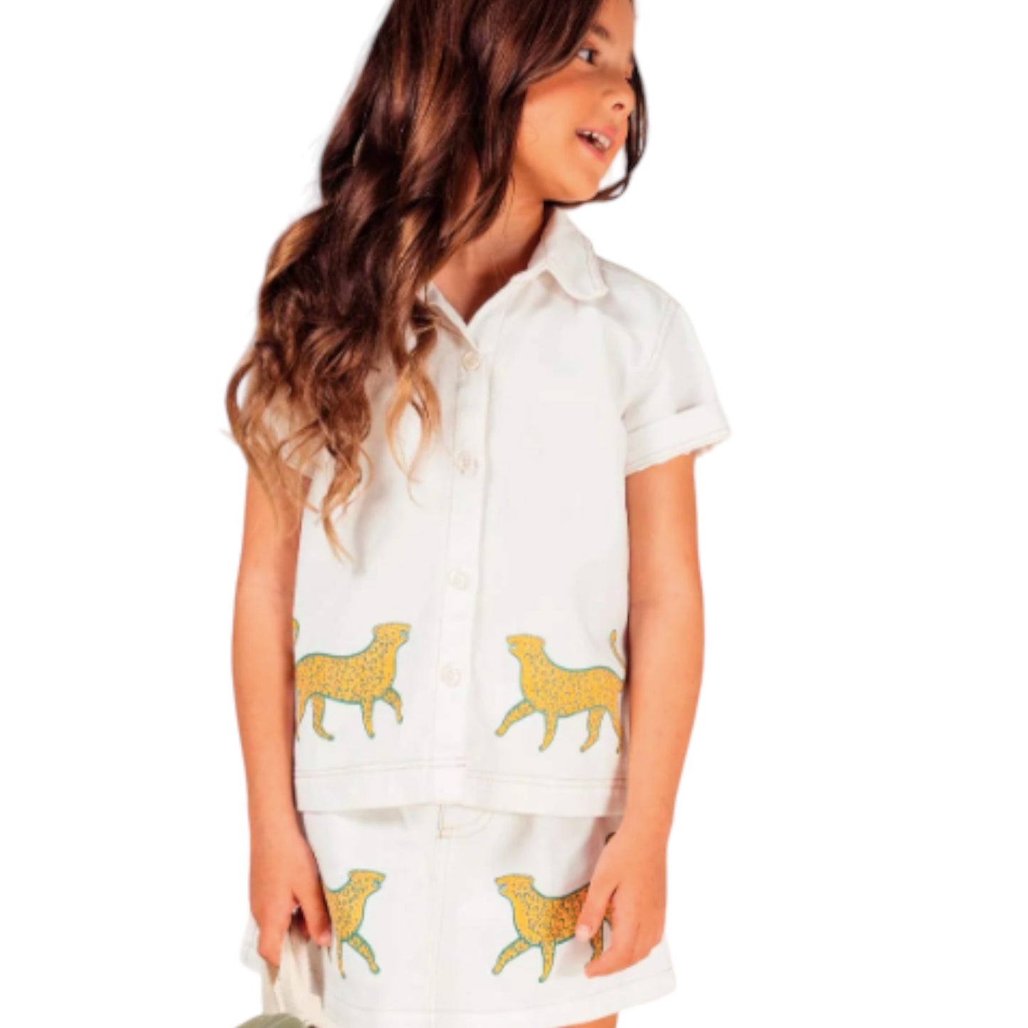 Conjunto Dos Jaguares