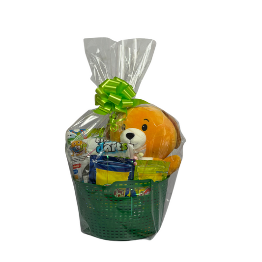 Suction Cup toy Basket