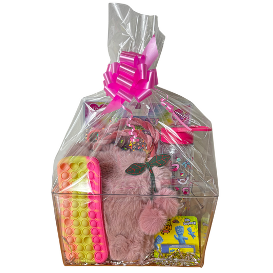 Journal Set and Handbag Basket